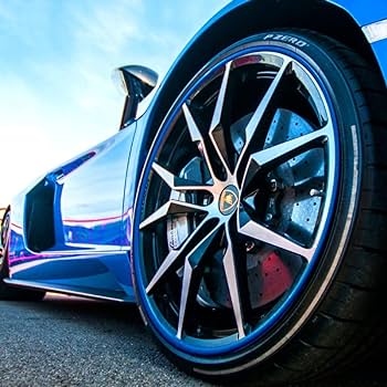 Wheel Protector Alloygator